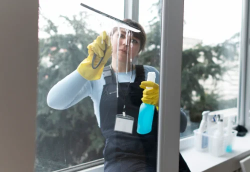 Nettoyage de vitres intérieures et extérieures à Saussines